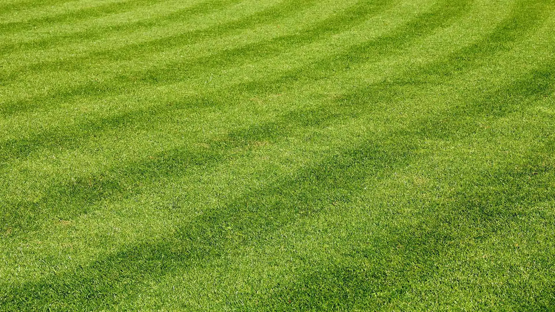 Freshly mowed green grass lawn in Ada, MI.