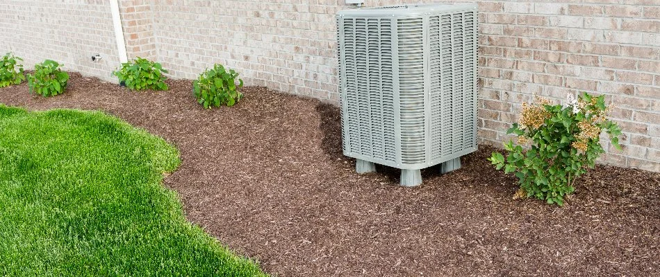 Brown mulch in landscape bed in Ada, MI.