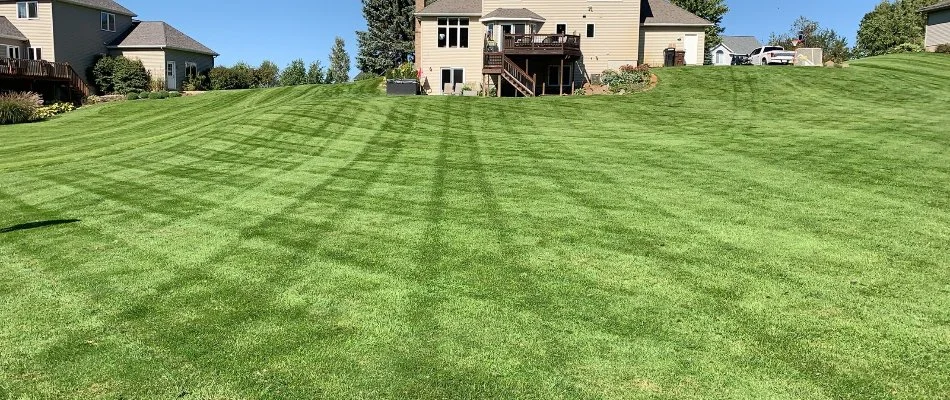 Green, mowed lawn and the back of a house in Ada, MI.