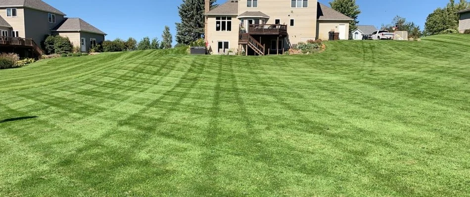 Healthy, fertilized lawn on a property in Ada, MI.
