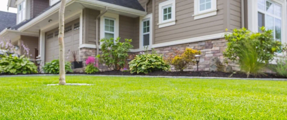 Lawn with small tree and mulched landscape bed in Ada, MI.