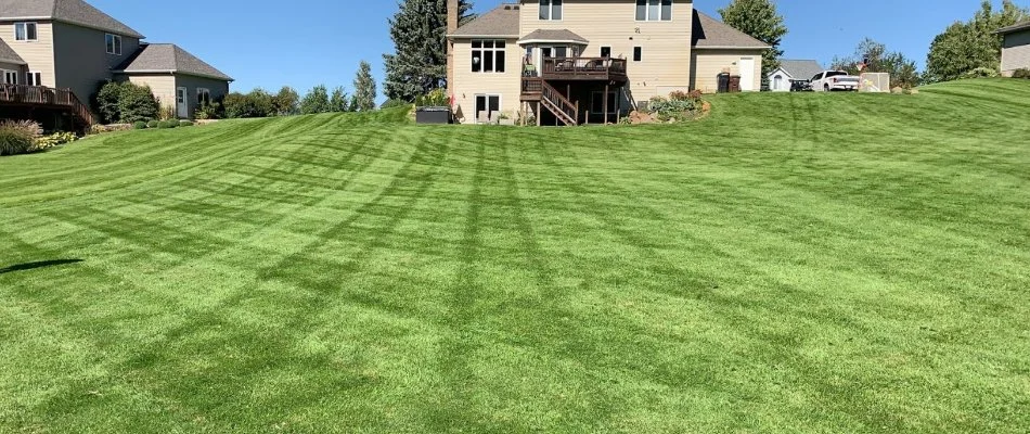 Freshly mowed lawn in Ada, MI.