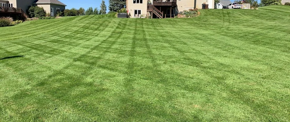 Lawn in a backyard in Ada, MI, with mowing stripes.