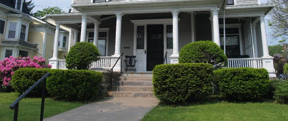 Maintained shrubs along the walkway of a house in Ada, MI.